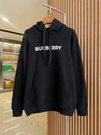 Picture of Burberry Hoodies _SKUBurberryS-2XLaztx85851823